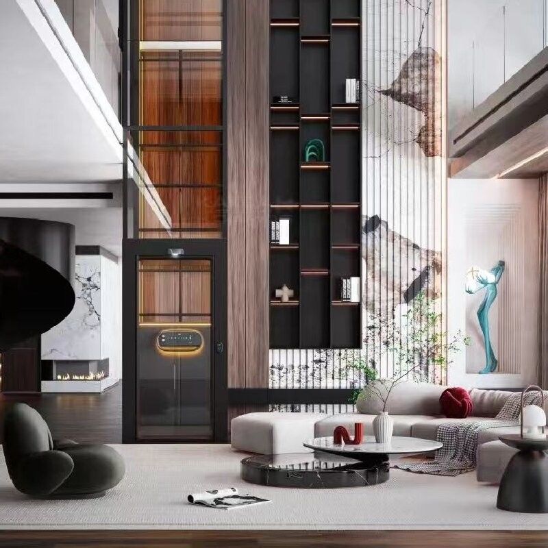 1-2 persone ascensore a vite all'interno ascensore a vite a casa