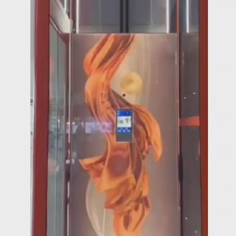 Ascensori per abitazioni di piccole dimensioni in acciaio inossidabile 400 kg Piccoli ascensori per case