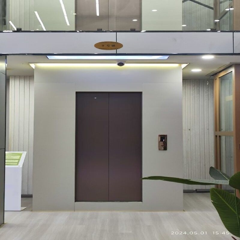 Ascensore domestico panoramico senza fossa | Telaio in alluminio leggero