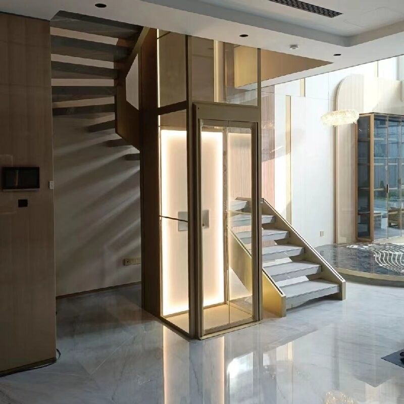 Ascensore idraulico automatico per passeggeri con cabina 304# e motore da 4,7 kW