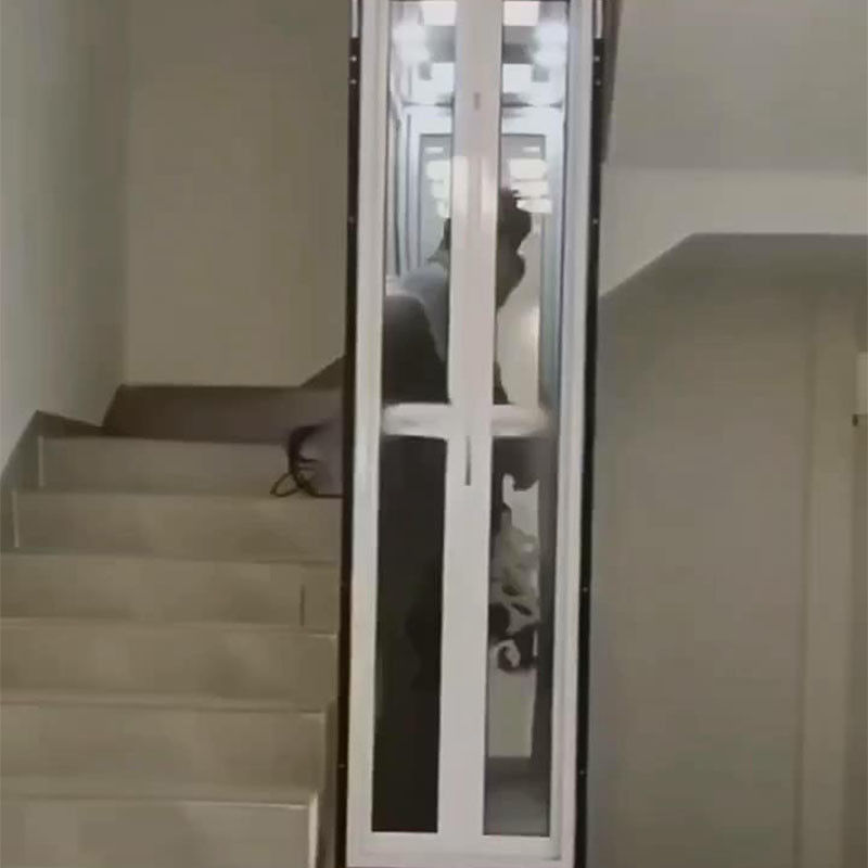 Sollevatore Idraulico Compatto per Abitazioni e Aziende | Capacità 400kg