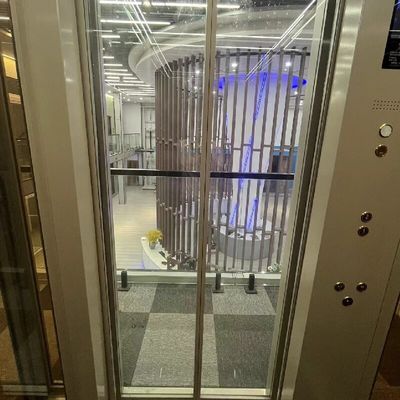 Elevatore domestico a trazione graziosa / ascensore elettrico a trazione 400-1000 kg di capacità