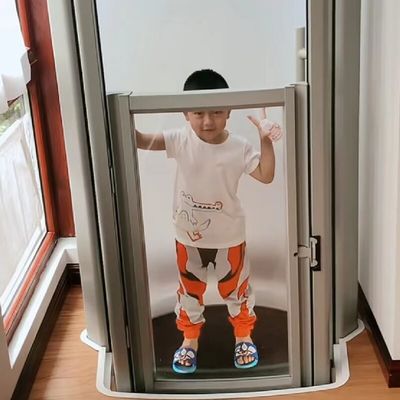 Sollevamento capsula di vetro 400Kg Piccolo sollevamento capsula per la casa con porta automatica