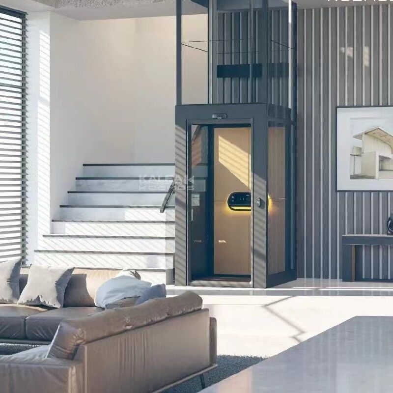 Ascensore domestico a vite interno 500 kg Piccoli ascensori per abitazioni