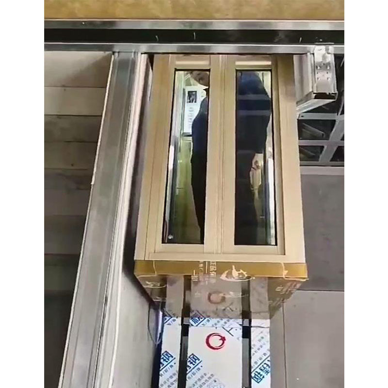 450-1000 libbre Compatti ascensori domestici senza ingranaggi Trazione Piccoli ascensori