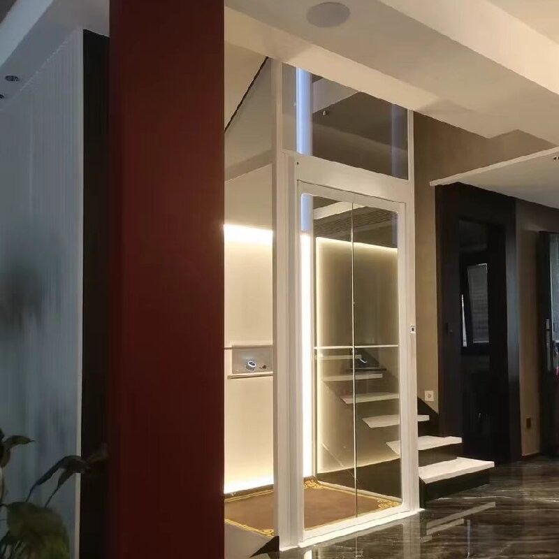 Ascensore idraulico per abitazioni a corrente alternata a fase singola con motore da 4,7 KW per potenza da 220 V