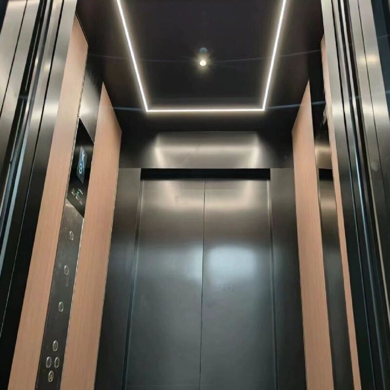 Personalizzare 2.9 M grandi cilindri ascensore idraulico con 0 M profondità di fossa e 304 # cabina in acciaio inossidabile