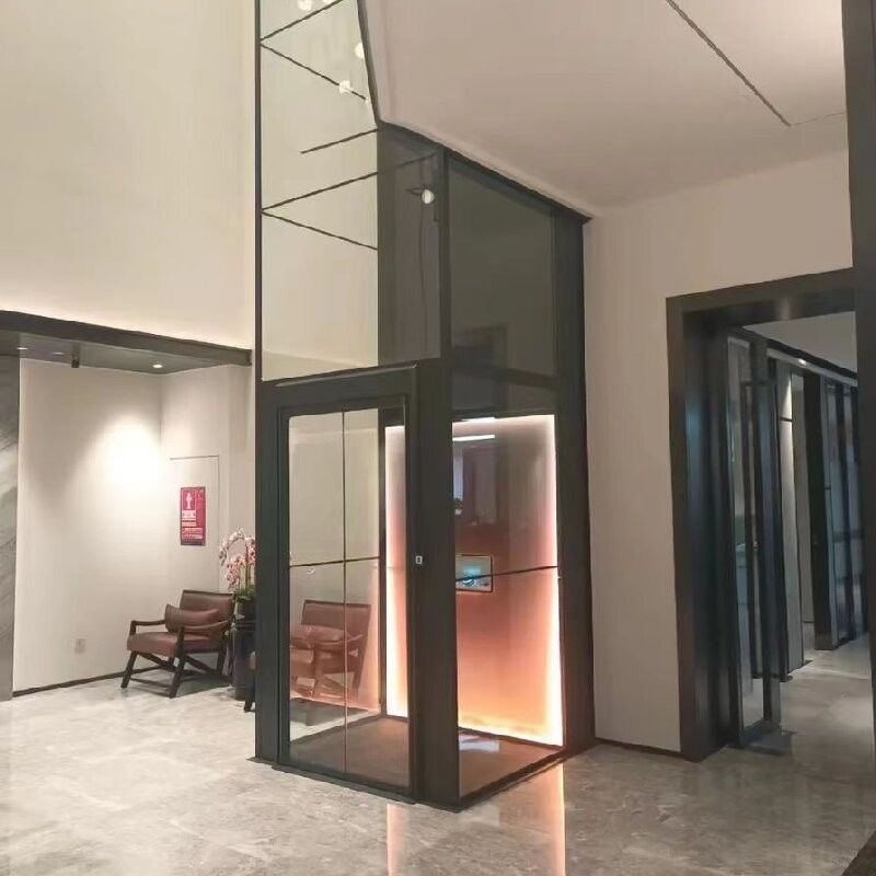 4.7 Kw ascensore domestico controllato da microprocessore / ascensore idraulico domestico con caratteristiche di sicurezza