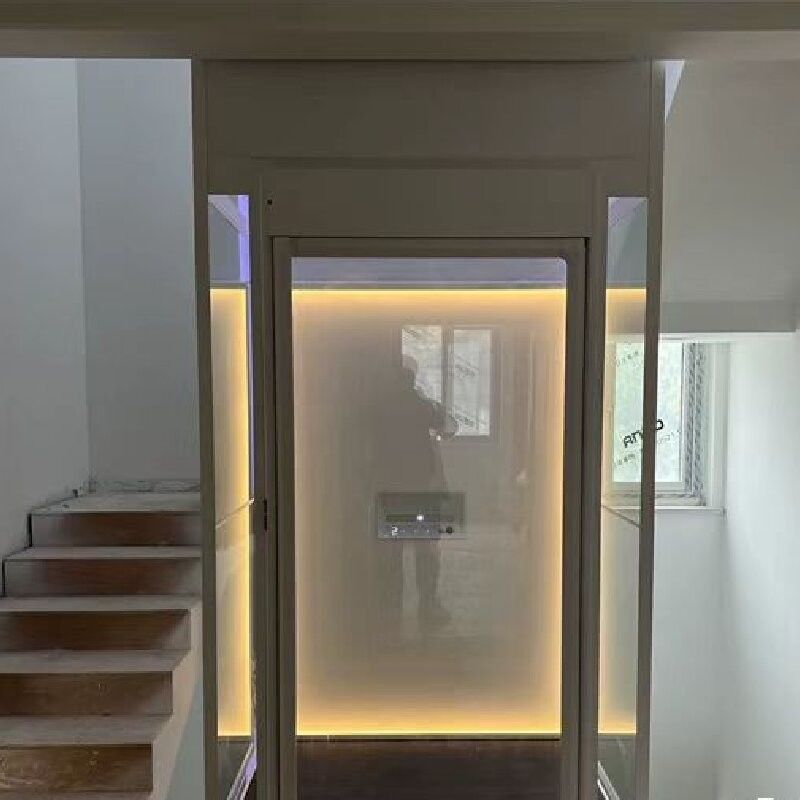 2.9M Lunghezza ascensore idraulico per la casa controllo microprocessore ascensori per la casa all'aperto