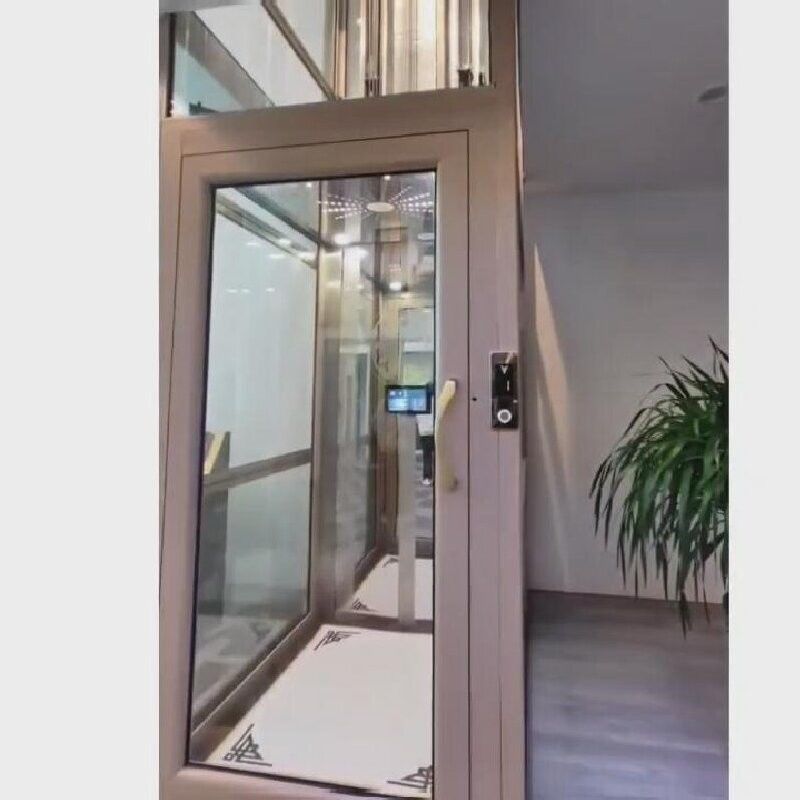 Controllo a schermo LCD della porta automatica Trazione Ascensore domestico con pulsante di arresto di emergenza