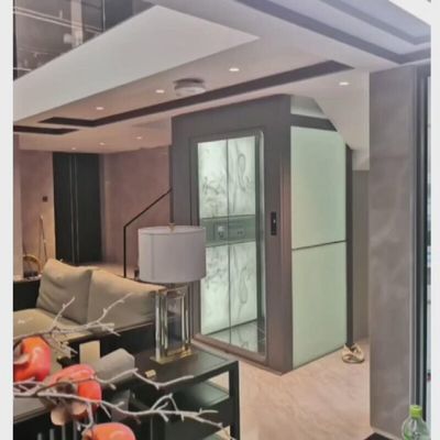 Villa Traction Safe Home Elevator 0,6 M/S Fornitore di alimentazione singolo / trifase